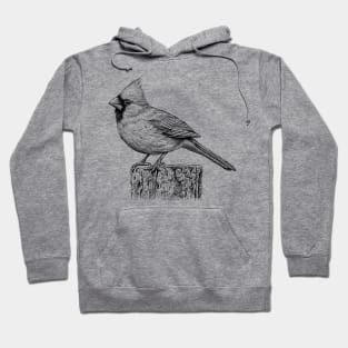 Cardinal (Black and White) Hoodie